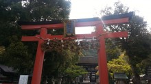７月の京都観光：松尾大社